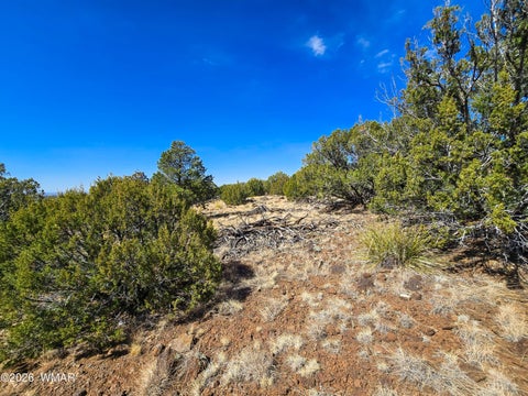 Tiny photo for Lot 468 Show Low Pines Unit 3, Concho, AZ 85924 (MLS # 261755)