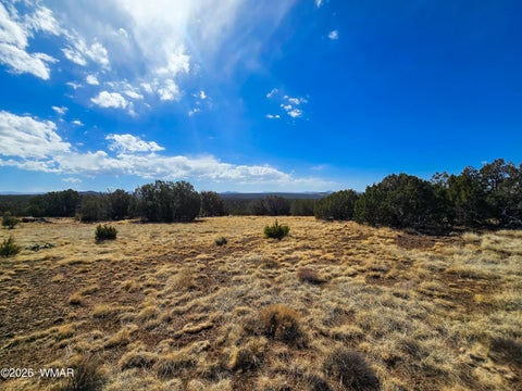 Tiny photo for Lot 468 Show Low Pines Unit 3, Concho, AZ 85924 (MLS # 261755)