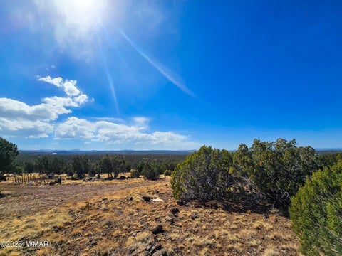 Tiny photo for Lot 468 Show Low Pines Unit 3, Concho, AZ 85924 (MLS # 261755)