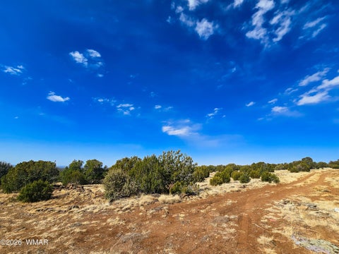 Tiny photo for Lot 468 Show Low Pines Unit 3, Concho, AZ 85924 (MLS # 261755)
