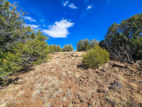 Tiny photo for Lot 468 Show Low Pines Unit 3, Concho, AZ 85924 (MLS # 261755)