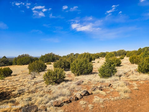 Tiny photo for Lot 468 Show Low Pines Unit 3, Concho, AZ 85924 (MLS # 261755)