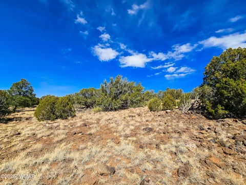 Tiny photo for Lot 468 Show Low Pines Unit 3, Concho, AZ 85924 (MLS # 261755)