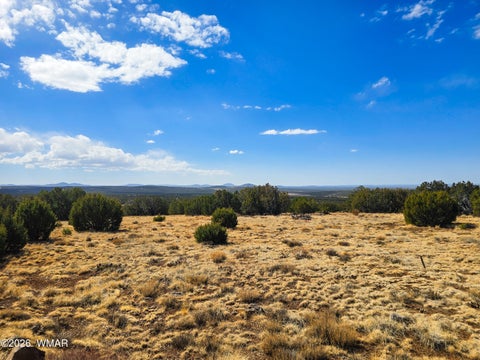 Tiny photo for Lot 468 Show Low Pines Unit 3, Concho, AZ 85924 (MLS # 261755)