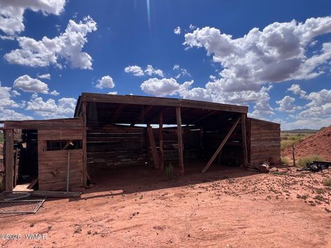 Tiny photo for 5021 Rae Trail, Snowflake, AZ 85937 (MLS # 254270)