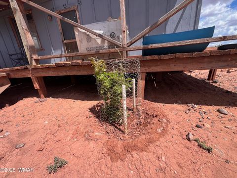 Tiny photo for 5021 Rae Trail, Snowflake, AZ 85937 (MLS # 254270)