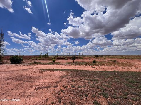 Tiny photo for 5021 Rae Trail, Snowflake, AZ 85937 (MLS # 254270)