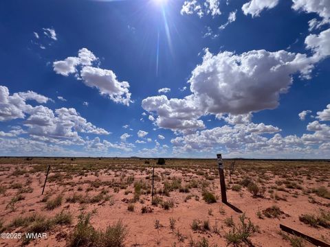 Tiny photo for 5021 Rae Trail, Snowflake, AZ 85937 (MLS # 254270)