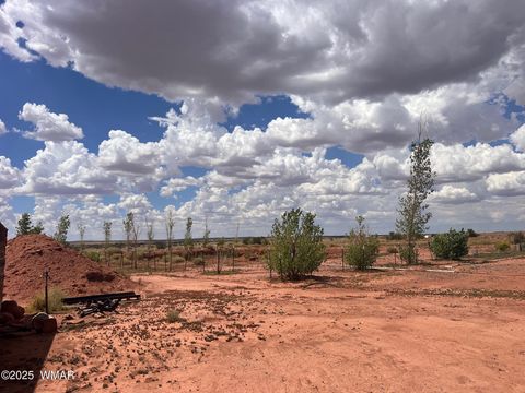 Tiny photo for 5021 Rae Trail, Snowflake, AZ 85937 (MLS # 254270)