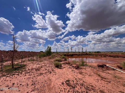 Tiny photo for 5021 Rae Trail, Snowflake, AZ 85937 (MLS # 254270)