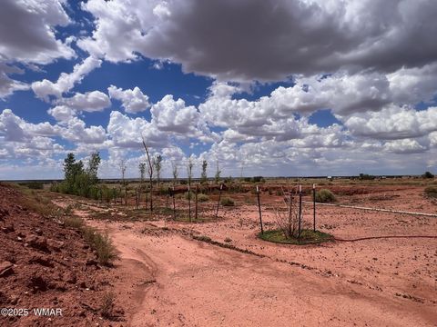 Tiny photo for 5021 Rae Trail, Snowflake, AZ 85937 (MLS # 254270)