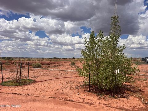 Tiny photo for 5021 Rae Trail, Snowflake, AZ 85937 (MLS # 254270)