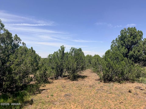Tiny photo for 8564 Pine Lane, Show Low, AZ 85901 (MLS # 262985)