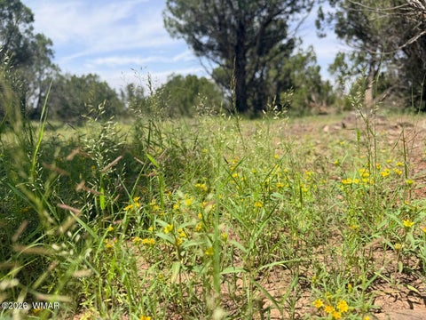 Tiny photo for 8564 Pine Lane, Show Low, AZ 85901 (MLS # 262985)