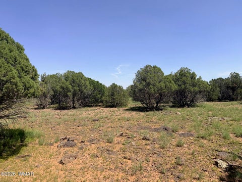 Tiny photo for 8564 Pine Lane, Show Low, AZ 85901 (MLS # 262985)