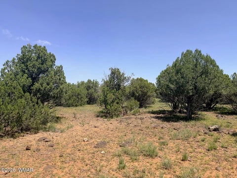Tiny photo for 8564 Pine Lane, Show Low, AZ 85901 (MLS # 262985)