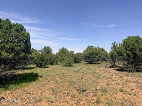 Tiny photo for 8564 Pine Lane, Show Low, AZ 85901 (MLS # 262985)