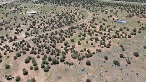 Tiny photo for 8564 Pine Lane, Show Low, AZ 85901 (MLS # 262985)