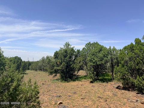 Tiny photo for 8564 Pine Lane, Show Low, AZ 85901 (MLS # 262985)