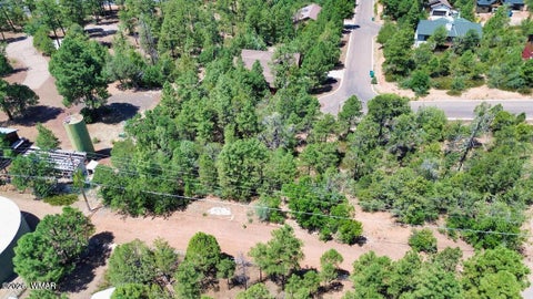 Tiny photo for 2291 Evergreen Lane, Show Low, AZ 85901 (MLS # 263528)