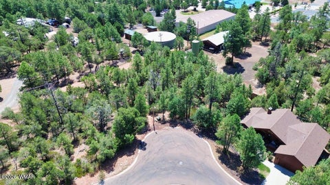 Tiny photo for 2291 Evergreen Lane, Show Low, AZ 85901 (MLS # 263528)