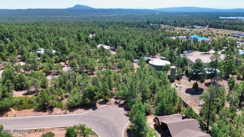 Tiny photo for 2291 Evergreen Lane, Show Low, AZ 85901 (MLS # 263528)