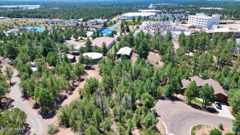 Tiny photo for 2291 Evergreen Lane, Show Low, AZ 85901 (MLS # 263528)