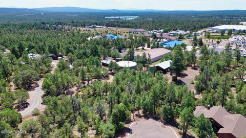 Tiny photo for 2291 Evergreen Lane, Show Low, AZ 85901 (MLS # 263528)