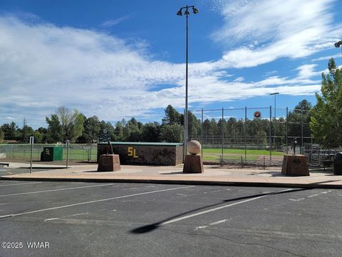 Tiny photo for 6690 Circle C Lane, Show Low, AZ 85901 (MLS # 259038)