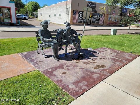 Tiny photo for 6690 Circle C Lane, Show Low, AZ 85901 (MLS # 259038)