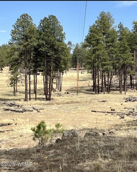 Photo of Lot E Forest Road 26, Alpine, AZ 85920 (MLS # 257150) Photo of Lot E Forest Road 26, Alpine, AZ 85920 (MLS # 257150)