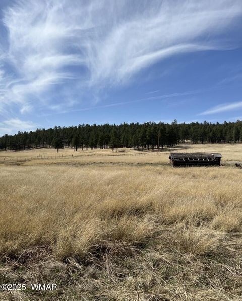Tiny photo for Lot E Forest Road 26, Alpine, AZ 85920 (MLS # 257150)