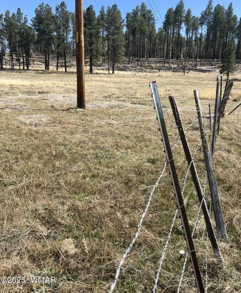 Tiny photo for Lot E Forest Road 26, Alpine, AZ 85920 (MLS # 257150)