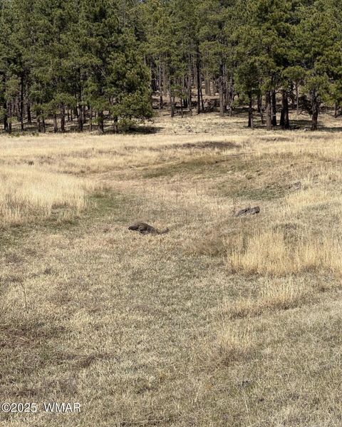 Tiny photo for Lot E Forest Road 26, Alpine, AZ 85920 (MLS # 257150)