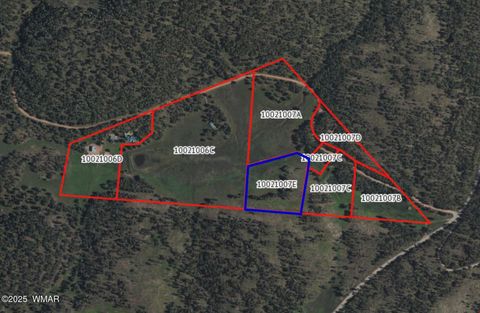 Tiny photo for Lot E Forest Road 26, Alpine, AZ 85920 (MLS # 257150)