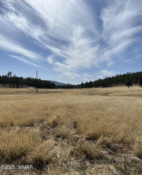 Tiny photo for Lot E Forest Road 26, Alpine, AZ 85920 (MLS # 257150)