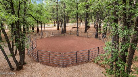 Tiny photo for 5339 Branding Iron Loop, Pinetop, AZ 85935 (MLS # 257600)