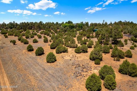 Tiny photo for 7104 State Route 260, Show Low, AZ 85901 (MLS # 256807)