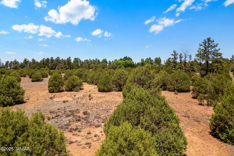 Tiny photo for 7104 State Route 260, Show Low, AZ 85901 (MLS # 256807)