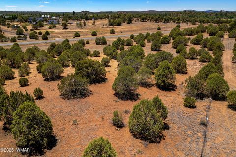 Tiny photo for 7104 State Route 260, Show Low, AZ 85901 (MLS # 256807)