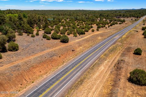 Tiny photo for 7104 State Route 260, Show Low, AZ 85901 (MLS # 256807)