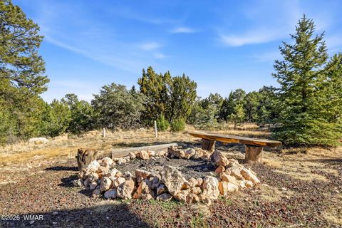 Tiny photo for 1562 Rock Ridge Circle, Heber, AZ 85928 (MLS # 259833)