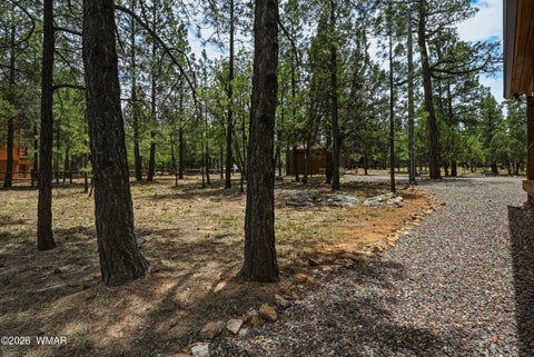 Tiny photo for 4075 Horseshoe Drive, Happy Jack, AZ 86024 (MLS # 261418)
