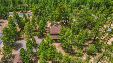 Tiny photo for 4075 Horseshoe Drive, Happy Jack, AZ 86024 (MLS # 261418)
