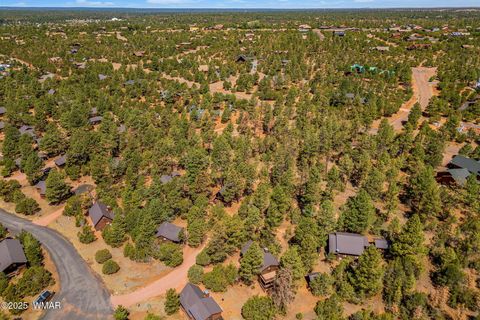 Tiny photo for 2758 Elk Trail Road, Overgaard, AZ 85933 (MLS # 257263)