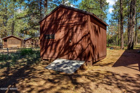 Tiny photo for 2758 Elk Trail Road, Overgaard, AZ 85933 (MLS # 257263)