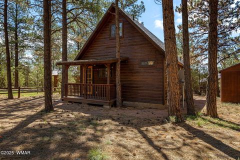 Tiny photo for 2758 Elk Trail Road, Overgaard, AZ 85933 (MLS # 257263)