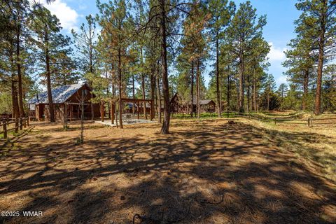 Tiny photo for 2758 Elk Trail Road, Overgaard, AZ 85933 (MLS # 257263)