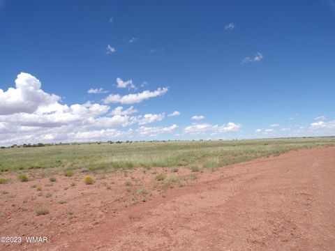 Tiny photo for TBD acr N9125/RANCH RD, Concho, AZ 85924 (MLS # 244424)