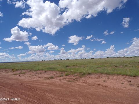 Tiny photo for TBD acr N9125/RANCH RD, Concho, AZ 85924 (MLS # 244424)